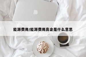能源费用/能源费用高企是什么意思