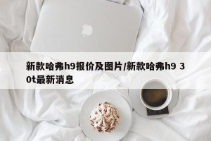 新款哈弗h9报价及图片/新款哈弗h9 30t最新消息