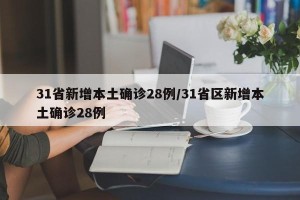 31省新增本土确诊28例/31省区新增本土确诊28例