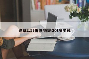 途昂2.5t价位/途昂20t多少钱