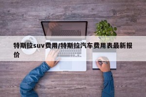 特斯拉suv费用/特斯拉汽车费用表最新报价