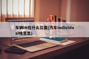 车辆IN在什么位置(汽车individual啥意思)