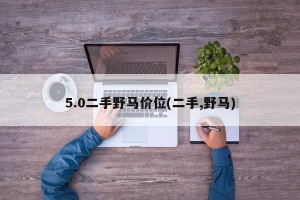 5.0二手野马价位(二手,野马)